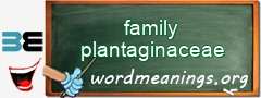 WordMeaning blackboard for family plantaginaceae